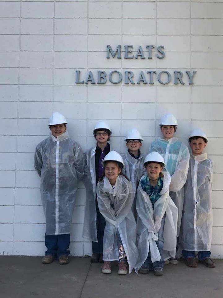 District Meat Judging